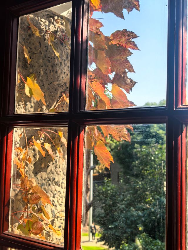 申城賞秋正當時 申城賞秋正當時