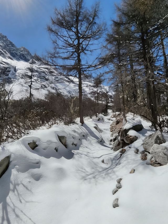 初冬達古冰川遊玩攻略|4860米雪山之巔,赴一場冰雪童話之約 初冬達古冰川遊玩攻略|4860米雪山之巔,赴一場冰雪童話之約