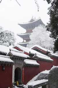 鄭州-洛陽5日遊 保姆級攻略來啦