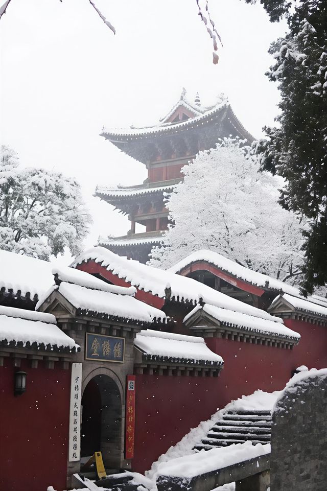 鄭州-洛陽5日遊 保姆級攻略來啦