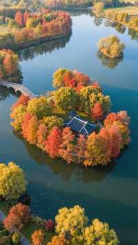 上海金山廊下楓葉島，滬郊秘境！