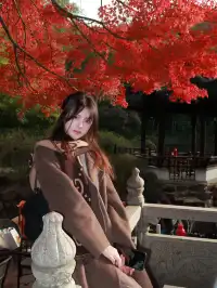 在家門口的中式園林 拍到了秋日氛圍大片