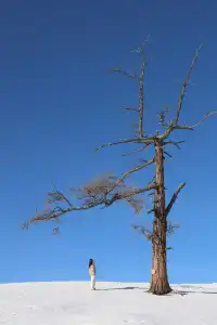 12.2 治癒日｜白哈巴→喀納斯漫遊