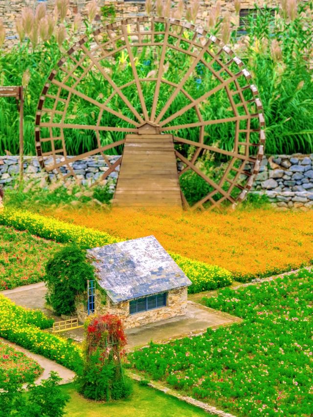 宿遷三臺山絕美仙境98%森林覆蓋超治癒！