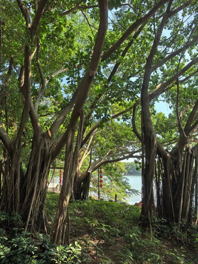秘境小徑探湖之旅