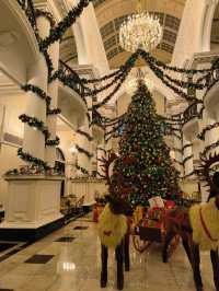 食物會說話，聖誕在發芽