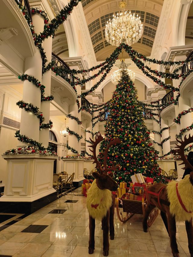 食物會說話，聖誕在發芽