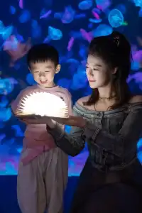 淡季的珠海長隆真的太出片啦🩵