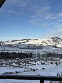 阿勒泰四天三晚旅行攻略 | 禾木&白哈巴