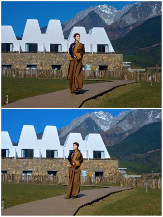 A Healing Journey with an Unexpected Encounter with Alpacas