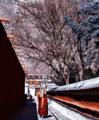 甘南等地6日遊攻略已備好快收藏