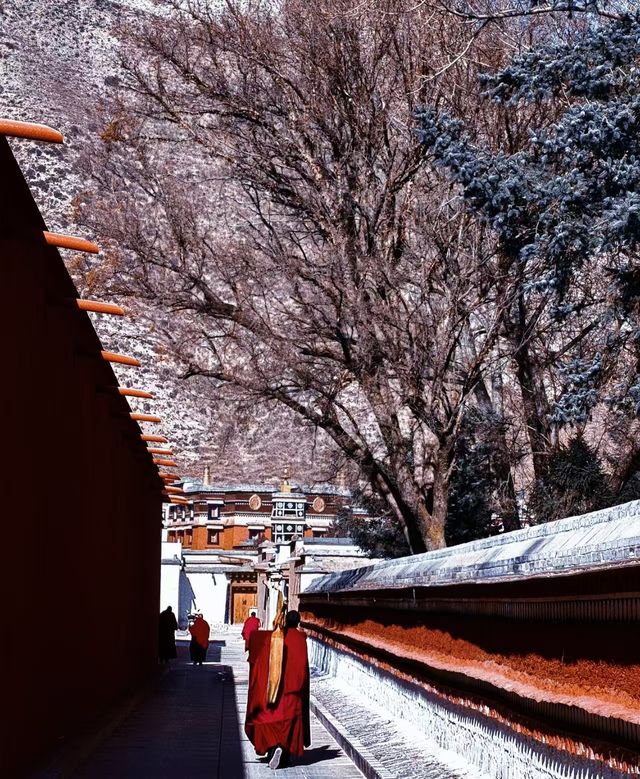 甘南等地6日遊攻略已備好快收藏 甘南等地6日遊攻略已備好快收藏