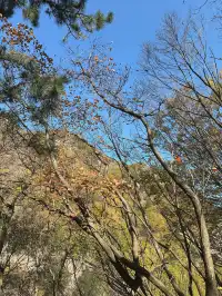 西安遛娃爬山推薦-藍田蓮花山人少不累