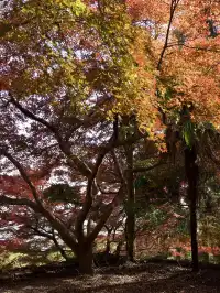 算了，和你們沒來過雄莊的人說不清楚