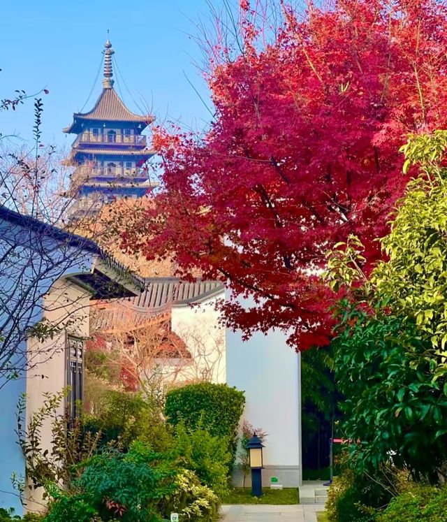 昆明的秋天 昆明的秋天