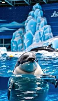 哈爾濱四天三夜旅行攻略