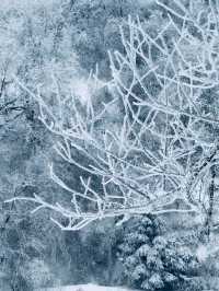 陝西秦嶺小火車|闖入冰雪秘境