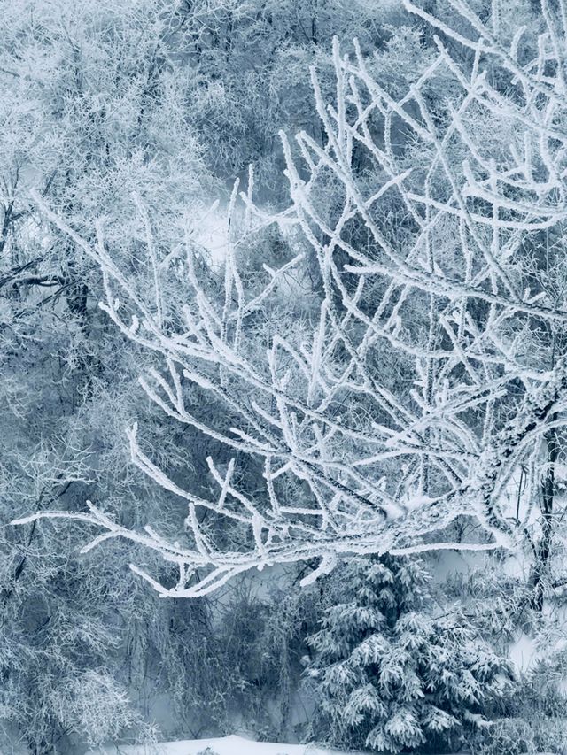 陝西秦嶺小火車|闖入冰雪秘境 陝西秦嶺小火車|闖入冰雪秘境