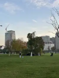 合肥旅遊看這一篇就夠了。。。