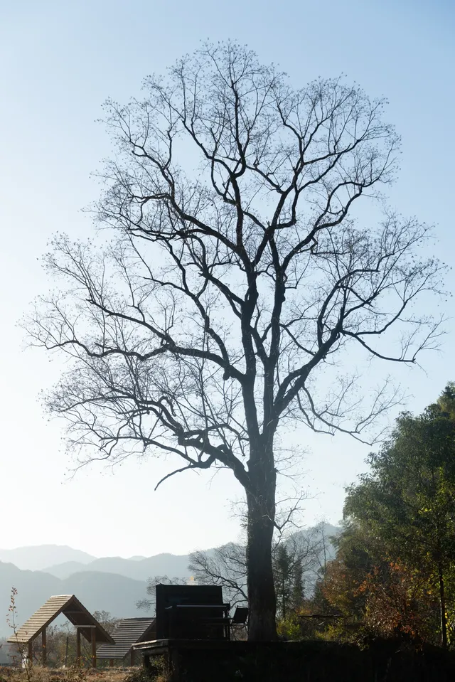暴走村杭州站初體驗!一日遊塔川! 暴走村杭州站初體驗!一日遊塔川!