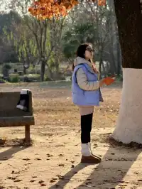 中山陵拍照機位