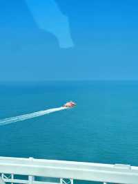 登港珠澳大橋上藍海豚島感受世紀工程