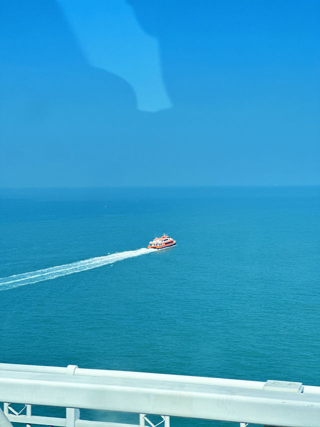 登港珠澳大橋上藍海豚島感受世紀工程 登港珠澳大橋上藍海豚島感受世紀工程