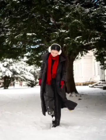 北海道雪又開始下了。