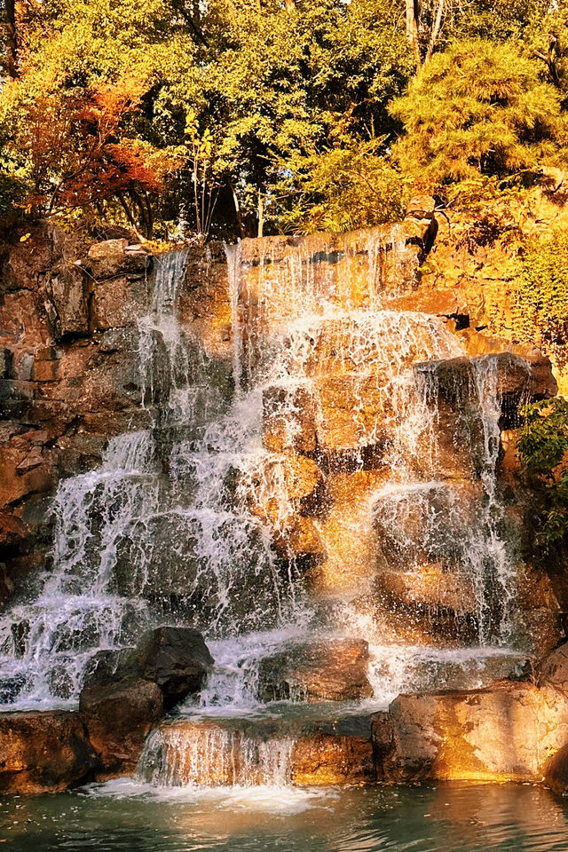 魔都賞秋封神路線!0元拍出大片感 魔都賞秋封神路線!0元拍出大片感