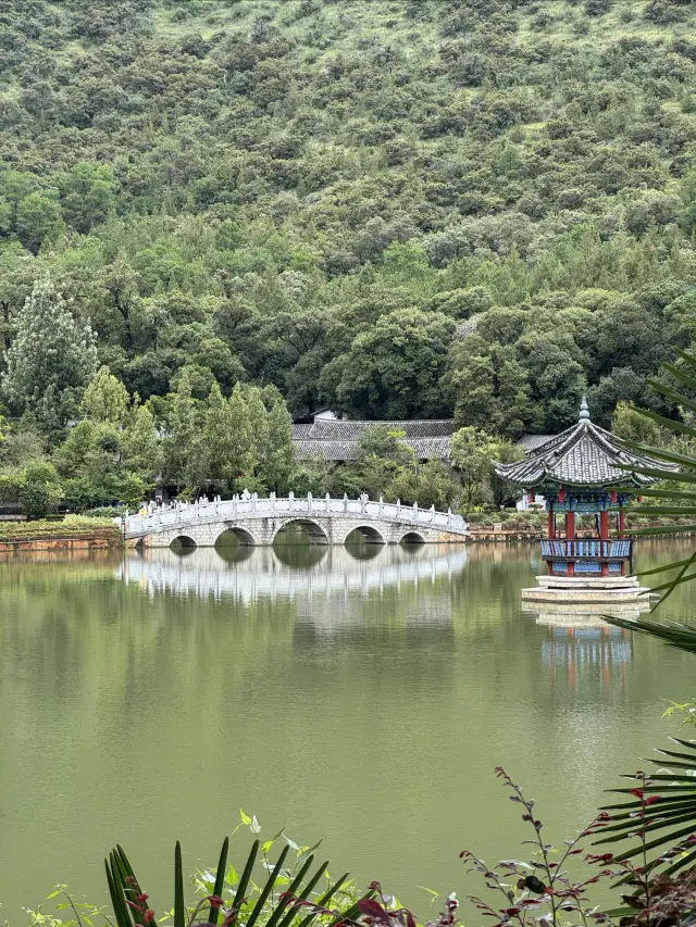 Lijiang Hidden Gem｜Who Knows! Heilongtan is the Healing Secret Spot Next to the Ancient Town