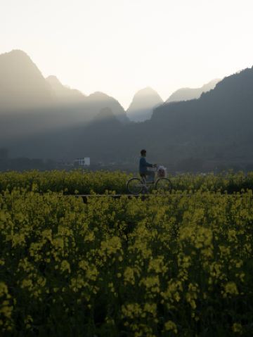 Escape the winter chill in February! Wanfenglin is already bursting with spring colors.