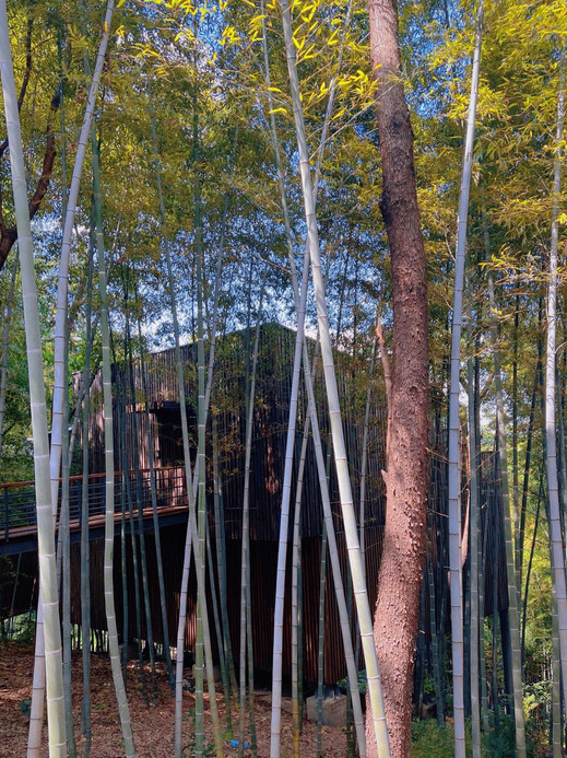 美岕山野温泉度假村(森林树屋) 参考图 4