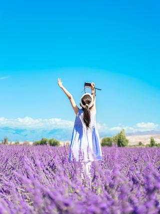 約束して！もう北欧には行かないで、夏の新疆はまさに神の領域！