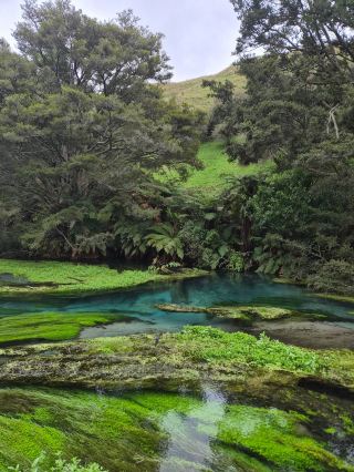 Memorable New Zealand Tour with an Amazing Guide