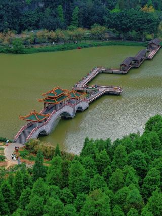 Many people are asking! The real scenery of the Dawn Redwood Forest at Guodong Lake in Zhaoqing exceeds photos