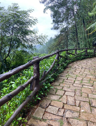 สถานที่ลับสุดยอดในซินซิงแห่งนี้ ที่ซึ่งคุณสามารถรับของฟรีได้นั้น จะไม่เป็นความลับอีกต่อไปแล้ว! เพลิดเพลินไปกับการสำรวจลำธาร กิจกรรมทางน้ำ การสวดมนต์ตามหลักพุทธศาสนา และการให้อาหารปลาคาร์พ – สถานที่พักผ่อนสุดสัปดาห์ที่สมบูรณ์แบบ!