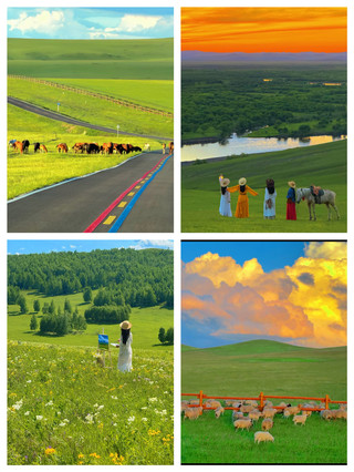 8月のフルンベイル｜比類なき草原の自由な旅へ