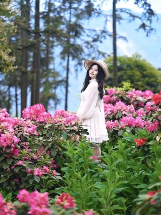 Stunning flower sea near Chengdu: Dujiangyan Wuyou Valley