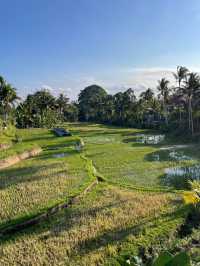 Exceptional Service and Relaxation at Equipoise Resort