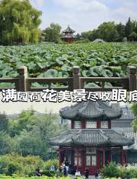 城市蓬萊古蓮花池七百年悠悠風華絕茂住宙斯騮