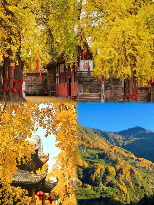 Chengdu is beautiful, but I don't recommend going in October to avoid the hassle.