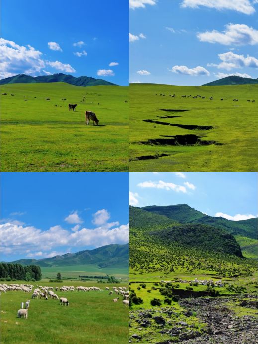 Escape Liaoning: 4 off-the-beaten-path cities reachable by high-speed rail in an hour