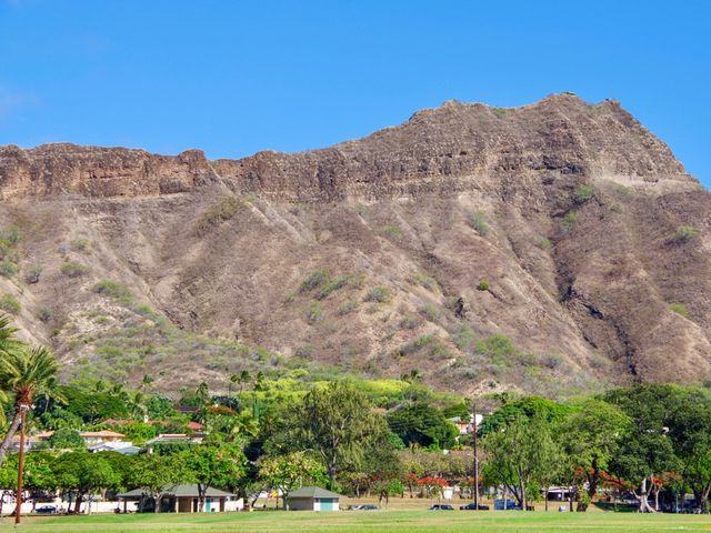 【ハワイ・オアフ島】ワイキキで大好きな場所🌳