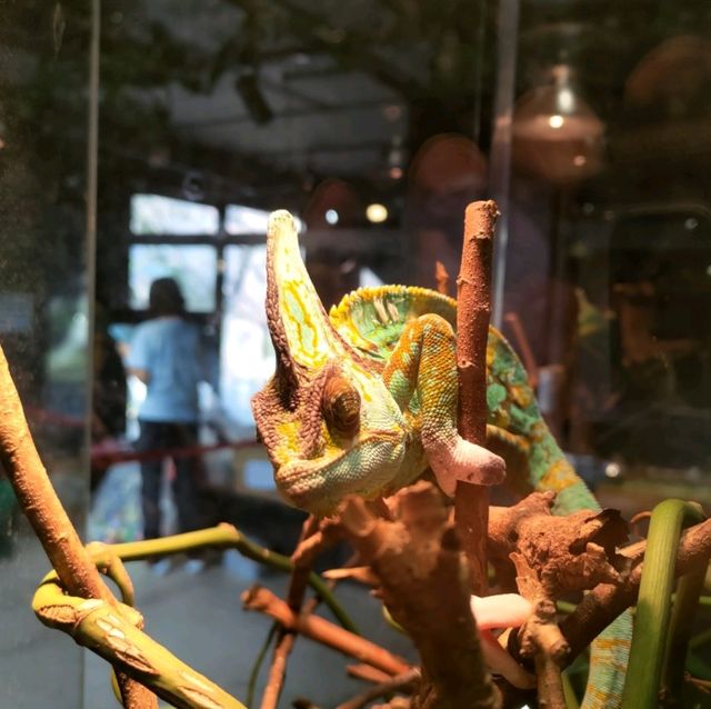 新竹昆蟲館