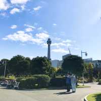 横浜で人気の海浜公園【山下公園】