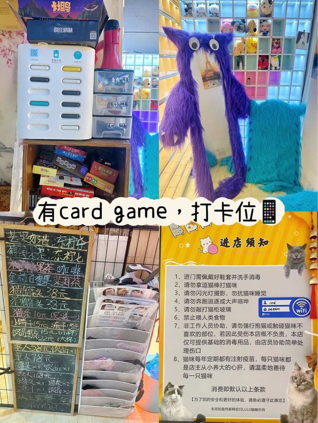 ⭐️貓貓Cafe竟然有豬仲有狗？🐱🐷🐶