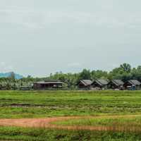เกาะยาวน้อย ความสงบที่ทุกคนค้นหา