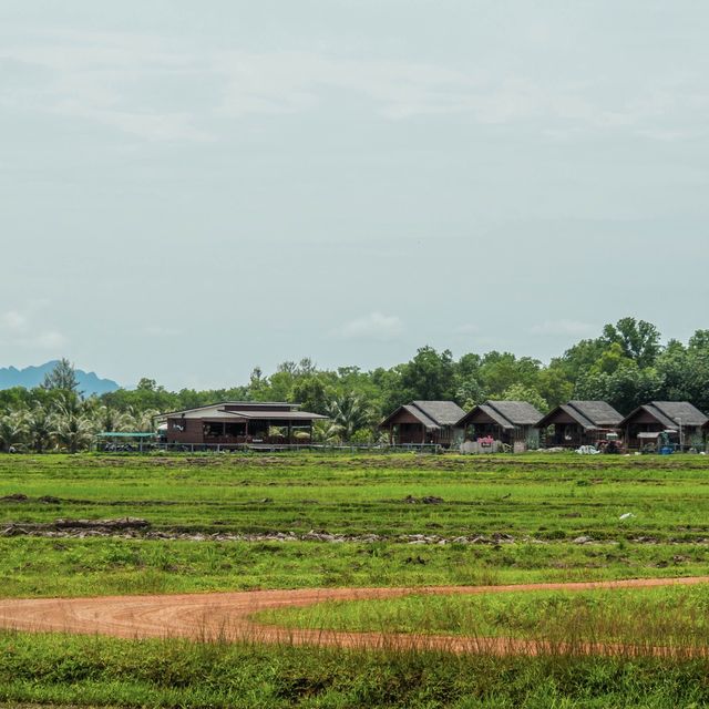 เกาะยาวน้อย ความสงบที่ทุกคนค้นหา
