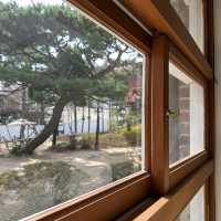 대전 충남도청 관사촌 테미오래