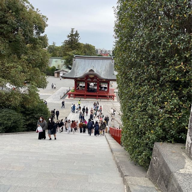 鶴ケ岡八幡宮⛩